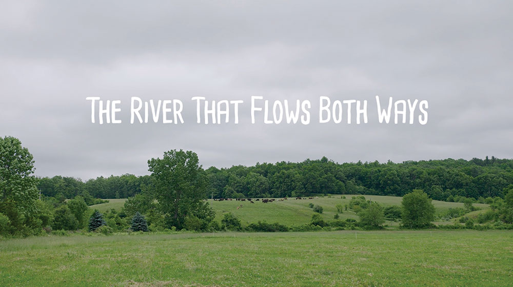 The River Flows Both Ways movie poster